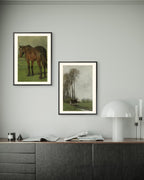 Classics Collection